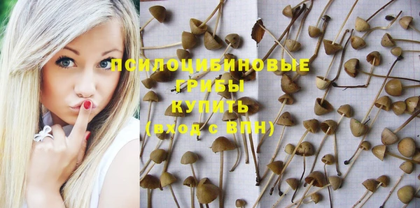 спайс Баксан