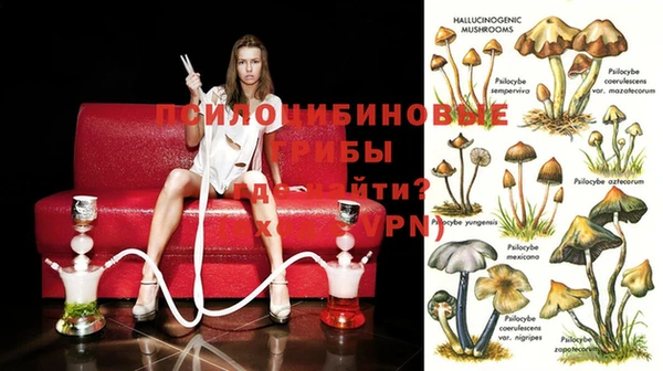 спайс Баксан