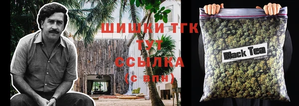 спайс Баксан