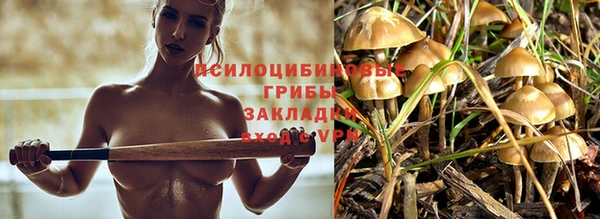 первитин Балахна