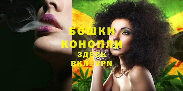 спайс Баксан