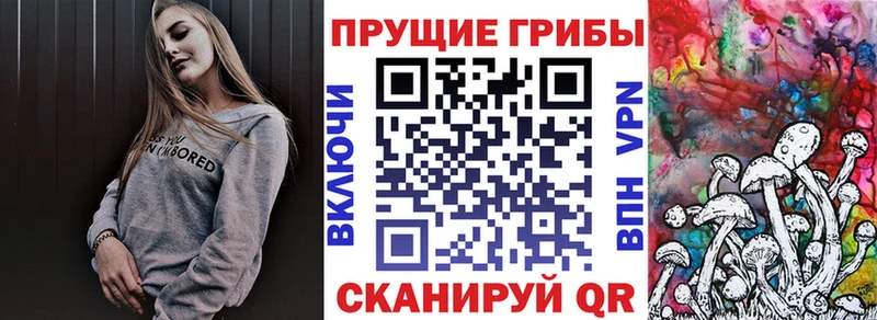 Псилоцибиновые грибы Psilocybine cubensis  блэк спрут ссылки  Плёс 